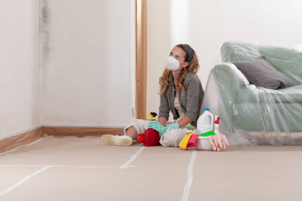 Reliable Mold Remediation contractor in Liberty Hill, TX by Cheap Mold Removal